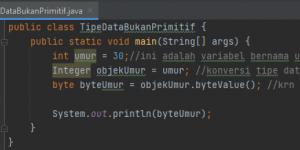 data bukan primitif