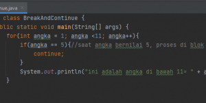 break dan continue di java