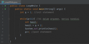 loop while di java