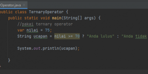 ternary operator di java